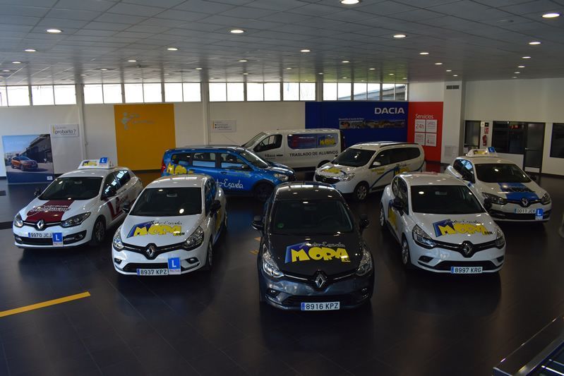 renault-flota